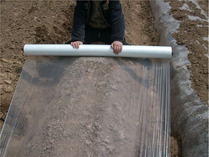 Greenhouse UV Plastic Sheet Film